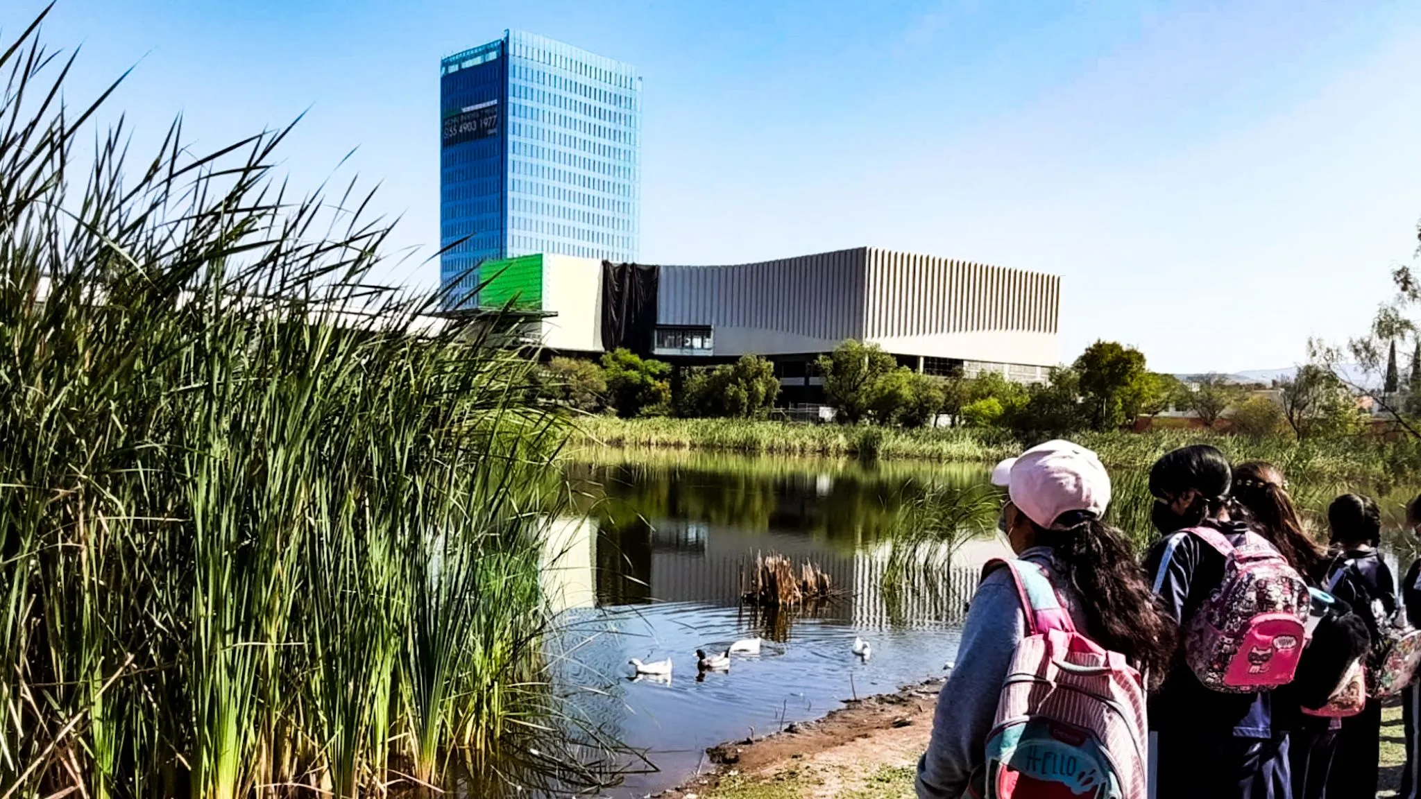 Se dicen "amigos del parque" pero obras del City Center "cercan" el humedal Los Cárcamos