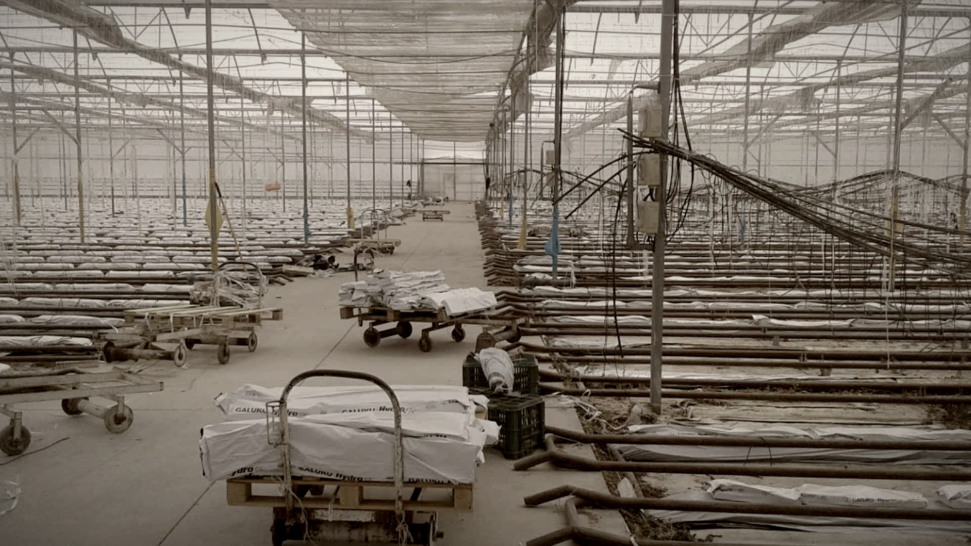 Jornaleros otomíes denuncian a agroempresa en San José Iturbide por abusos laborales