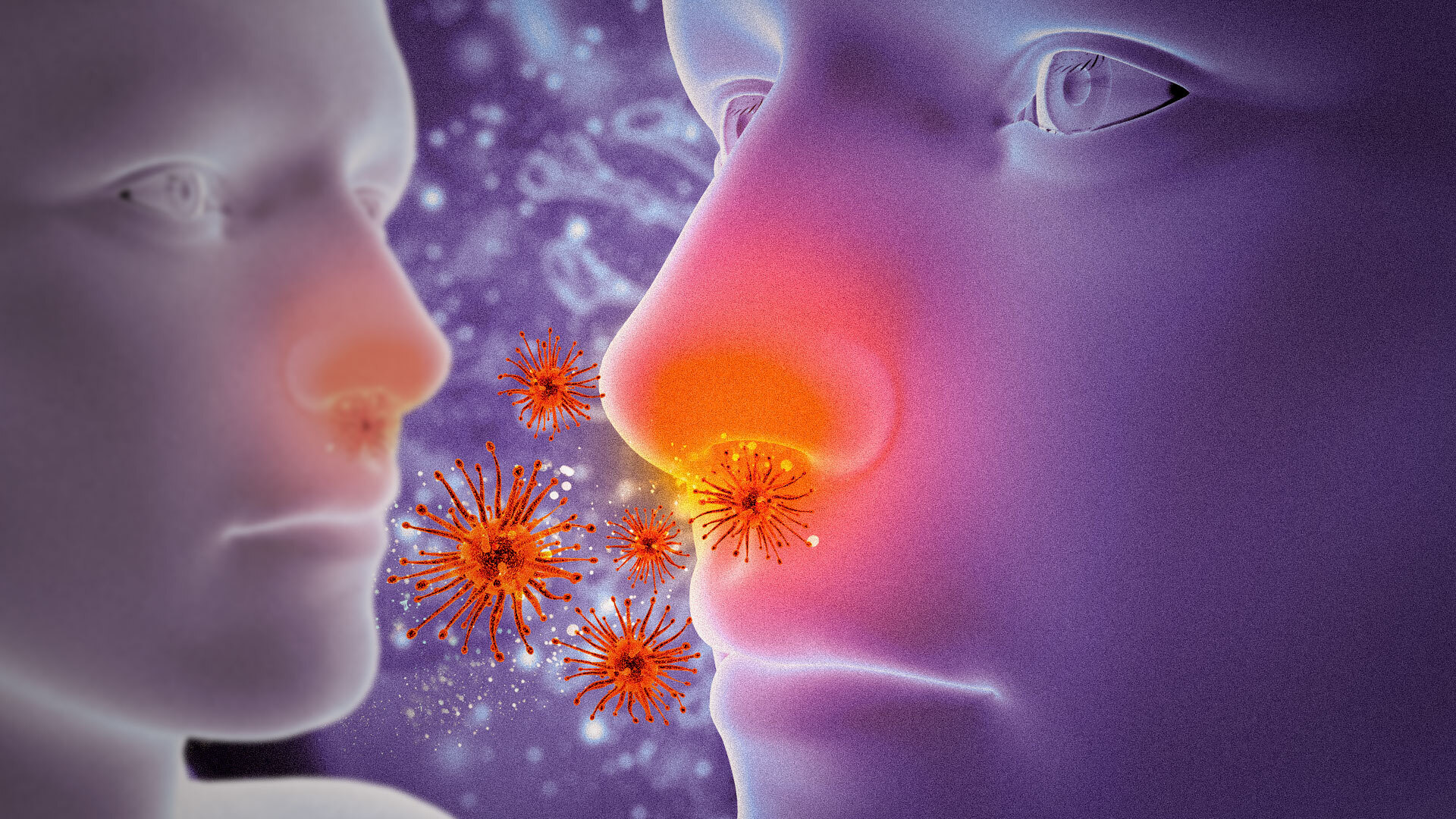 Pandemia y derechos humanos en las Américas