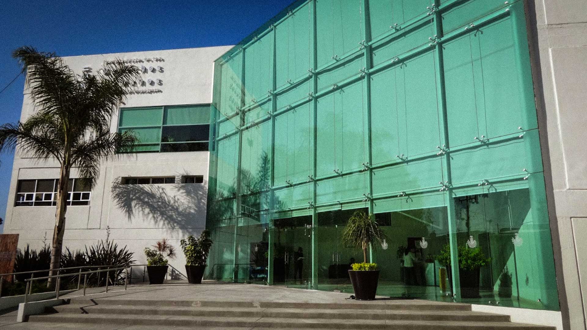 "La participación social no es amenaza", exhorta observatorio ciudadano al Congreso, en selección de Ombudsperson