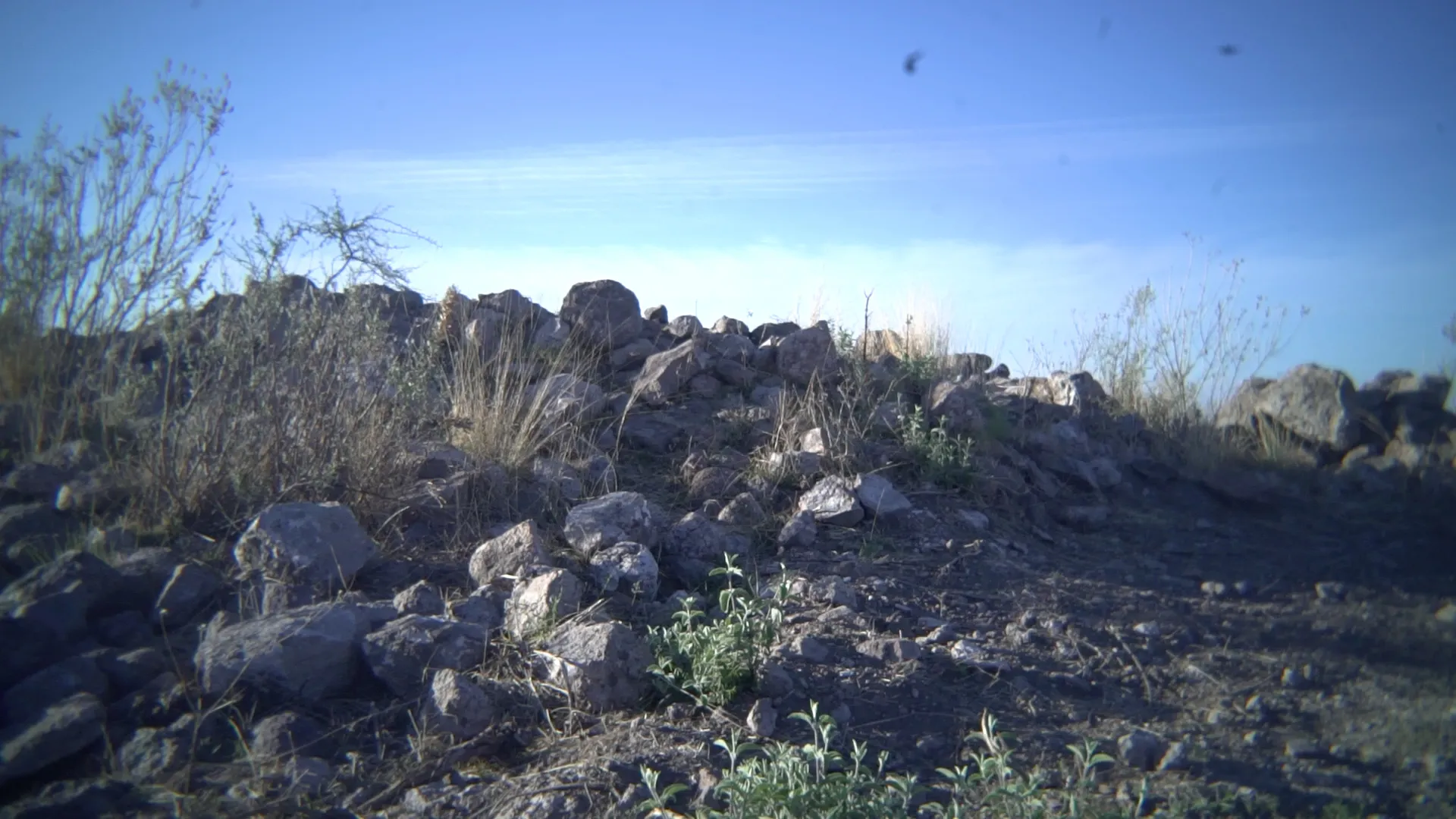 Portada Cerrito Pelonas