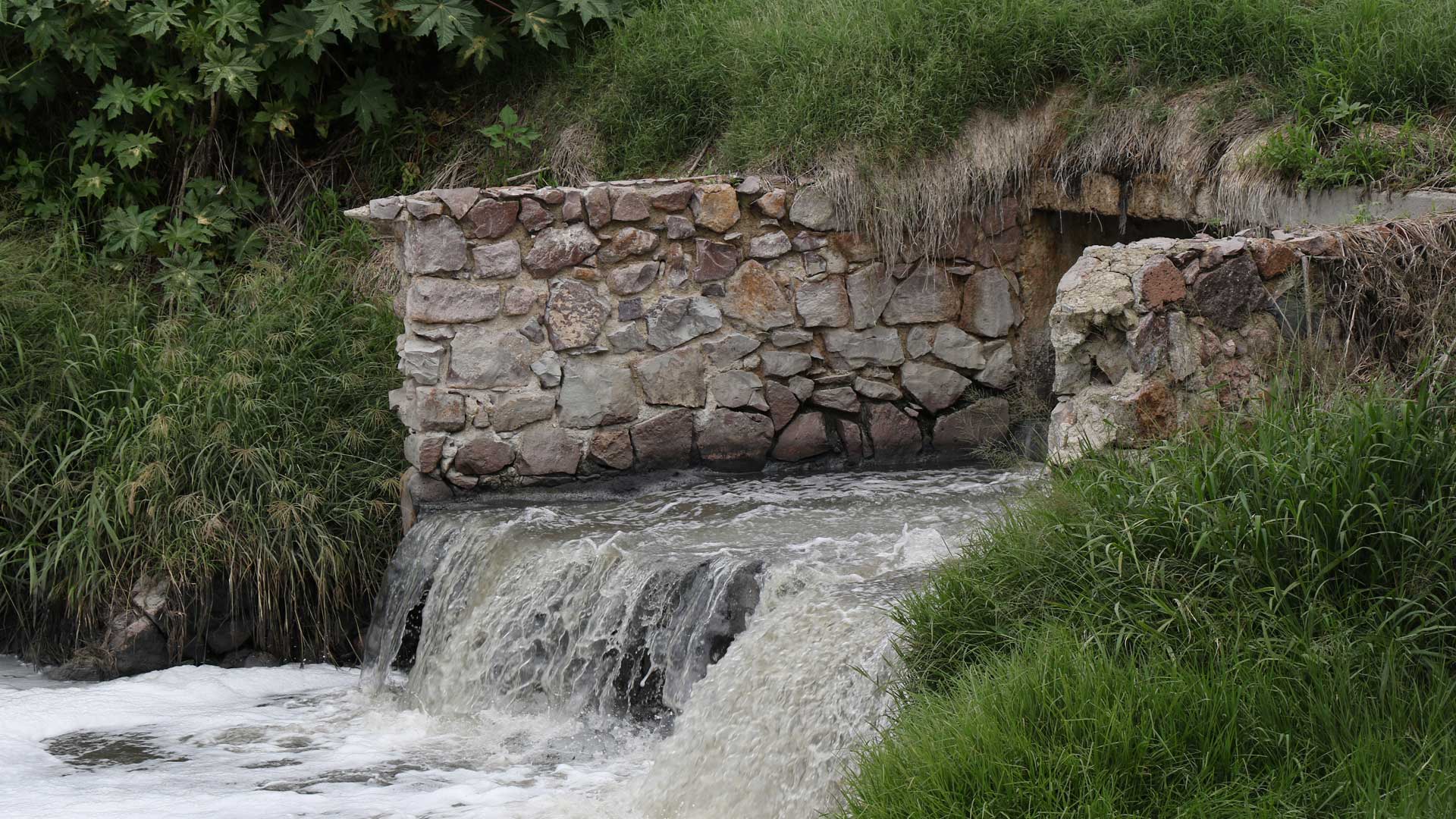 Agua que no has de beber