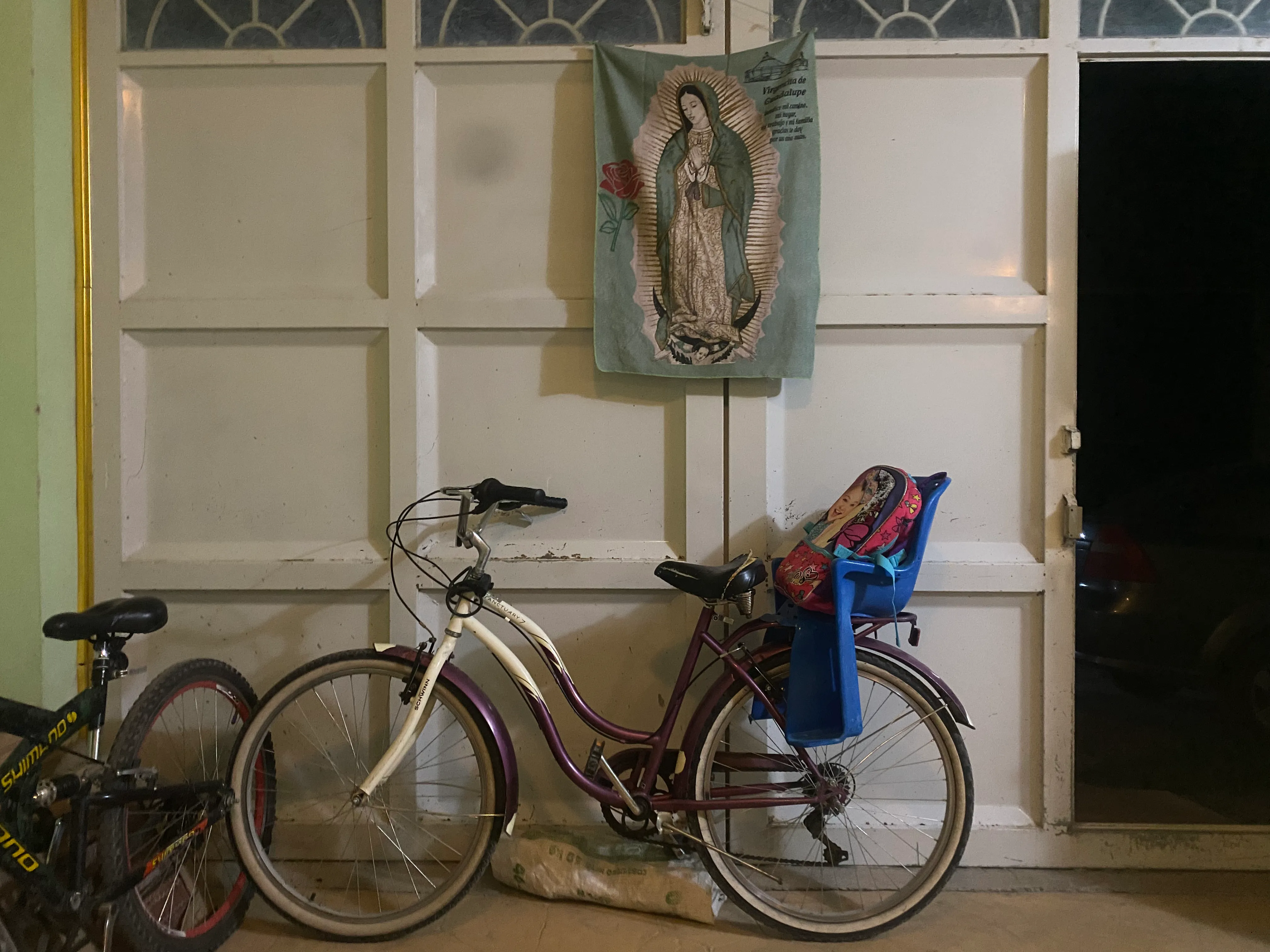 Buscadoras Guanajuato 