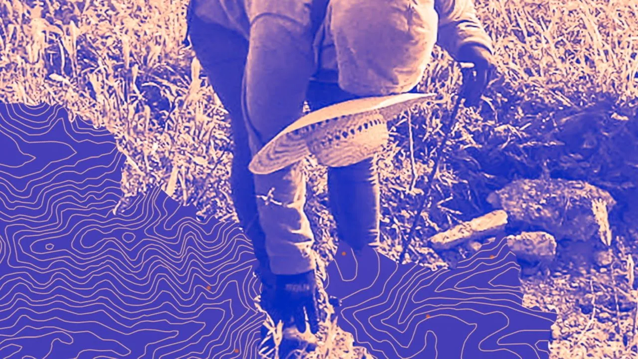 Protección y búsqueda en Guanajuato